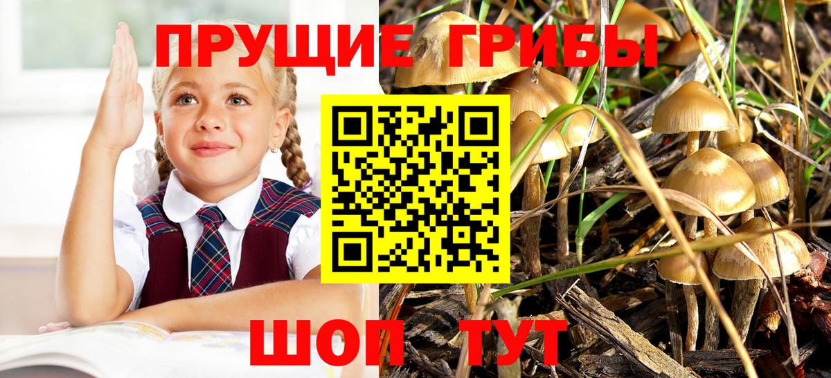 Псилоцибиновые грибы мицелий  Вход с VPN  Вязьма 